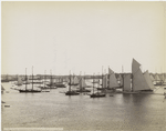 N.Y.Y.C. [New York Yacht Club] fleet, Newport Harbor, August 11, '88.