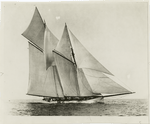 The Mayflower, from a photograph, 1891.