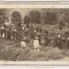 Carte-de-visite view of a group of laborers at work in the field as a foreman watches them, Brazil, ca. 1865