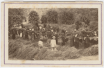 Carte-de-visite view of a group of laborers at work in the field as a foreman watches them, Brazil, ca. 1865