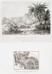 Site et ruines de Feiran (presqu'isle de Sinaï); Relevé topographique de la vallée de Feiran (presqu'isle de Sinaï).