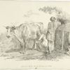 Young woman milking a cow.