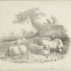Sheep and shepherd in a landscape.