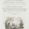 Ichtylogie, ou Histoire naturelle