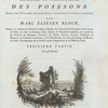 Ichtylogie, ou Histoire naturelle
