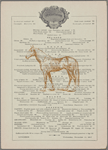 Delmonicos