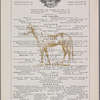 Delmonicos