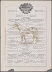 Delmonicos
