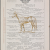 Delmonicos