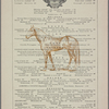 Delmonicos