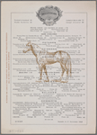 Delmonicos