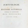 Ichtylogie, ou Histoire naturelle