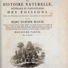 Ichtylogie, ou Histoire naturelle