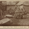 Native foods, taro, turtles & yangona roots.