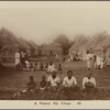 A typical Fiji village.