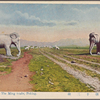 The Ming tombs, Peking.
