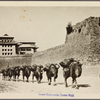 Camel train under Tartar Wall.