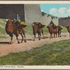 Camels at the Tartar Wall, Peking.