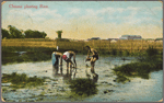 Chinese planting rice.
