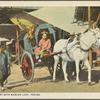 A Peking cart with Manchu lady, Peking.