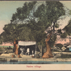Native village.