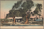 Native village.