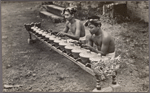 Musicians, Bali.