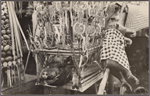 Pigs prepared possibly for sacrificial offering in temple, Bali.