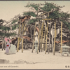 The old pine tree of Karasaki.