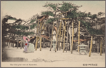 The old pine tree of Karasaki.