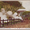 Hachiman-jigoku (hell), Beppu.