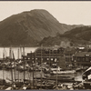 Beppu Harbor and Mount Takasaki.