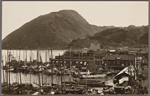 Beppu Harbor and Mount Takasaki.