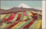 Mount Fuji with cultivated fields in foreground.