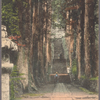 Stone steps of Hakone, Gongen.