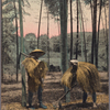 Diging [i.e., digging] bamboo shoot.
