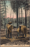 Diging [i.e., digging] bamboo shoot.