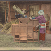 Winnowing of ride [i.e., rice] with hand and machine.