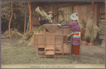 Winnowing of ride [i.e., rice] with hand and machine.