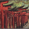 Avenue of wooden torii, Fushimi Shrine, Kyoto.