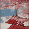 A five-storied pagoda under cherry blossoms, Kyoto.