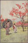 Peach blossom.