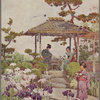 An iris garden