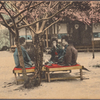 Picnic-style tea ceremony (nodate).