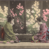 Ohanasan playing "go" game.