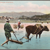 Japanese preparing ricefield.