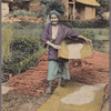 Rice clearing of old women.