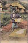 Rice clearing of old women.