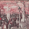 Cherry blossoms, Uyeno Park.