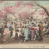 Cherry blossom at Uyeno Park, Tokyo.